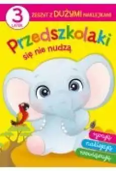 Przedszkolaki się nie nudzą 3 latek Książki Dla dzieci