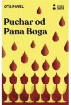 Puchar od Pana Boga w2 Książki Literatura piękna