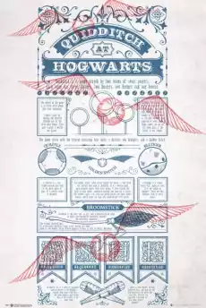 Harry Potter Quidditch At Hogwarts plakat z filmu Dom i ogród Wyposażenie wnętrz Dekoracja Obrazy i plakaty