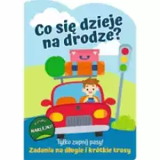 Tylko zapnij pasy Zadania na długie i krótkie trasy Co się dzieję na drodze Książki Dla dzieci