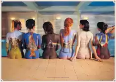 Pink Floyd Back plakat Dom i ogród Wyposażenie wnętrz Dekoracja Obrazy i plakaty
