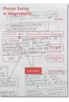 Proces karny w diagramach Książki Ebooki