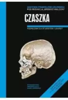 Anatomia prawidłowa człowieka Czaszka Książki Zdrowie medycyna