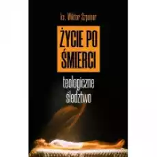 Życie po śmierci Teologiczne śledztwo Książki Religia