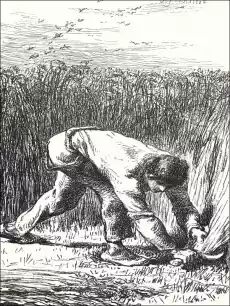 The Reaper JeanFrançois Millet plakat Wymiar do wyboru 20x30 cm Dom i ogród Wyposażenie wnętrz Dekoracja Obrazy i plakaty