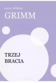 Trzej bracia Książki Ebooki