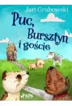 Puc Bursztyn i goście Książki Ebooki