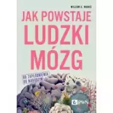 Jak powstaje ludzki mózg Od zapłodnienia do narodzin Książki Nauki ścisłe