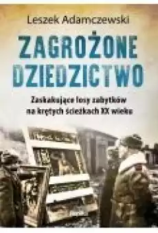 Zagrożone dziedzictwo Zaskakujące losy zabytków na krętych ścieżkach XX wieku Książki Historia