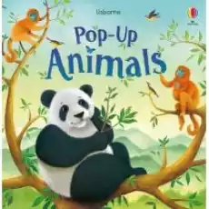 PopUp Animals PopUp Book Książki Obcojęzyczne