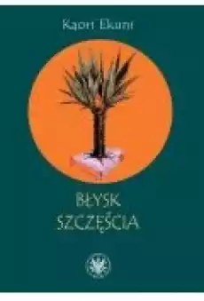 Błysk szczęścia Książki Ebooki