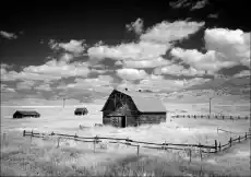 Infrared view of barn in rural Montana USA Carol Highsmith plakat Wymiar do wyboru 30x20 cm Dom i ogród Wyposażenie wnętrz Dekoracja Obrazy i plakaty