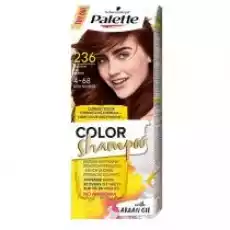 Palette Color Shampoo szampon koloryzujący do włosów do 24 myć 236 468 Kasztan Zdrowie i uroda Kosmetyki i akcesoria Pielęgnacja i stylizacja włosów