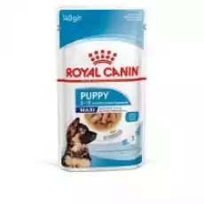 Royal Canin Maxipuppy karma mokra w sosie dla szczeniąt do 15 miesiąca życia dla ras dużych 140 g Dom i ogród Artykuły zoologiczne Psy