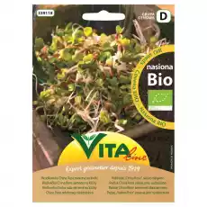 BIO Nasiona Na Kiełki Rzodkiewka China Rose 20 g Vita Line Artykuły Spożywcze