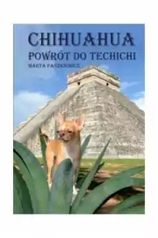 Chihuahua powrót do techichi Książki Poradniki