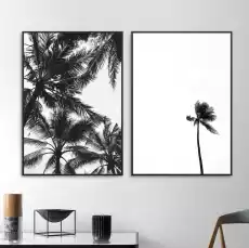 Zestaw dwóch plakatów minimals palms wymiary 20cm x 30cm 2 sztuki kolor ramki biały Dom i ogród