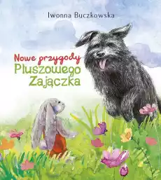 Nowe przygody Pluszowego Zajączka Dla dziecka