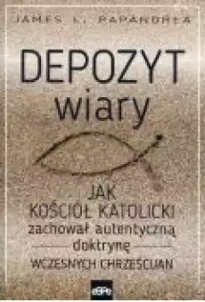 Depozyt wiary Książki Religia