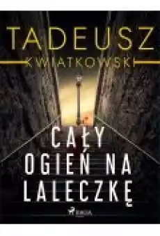 Cały ogień na laleczkę Książki Ebooki