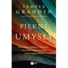 Piękne umysły Jak ludzie myślący obrazami wzorami i abstrakcjami postrzegają świat Książki Nauki humanistyczne