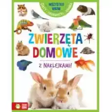 Wszystko wiem Zwierzęta domowe Książki Dla dzieci