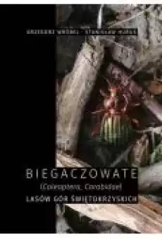 Biegaczowate Coleoptera Carabidae lasów Gór Świętokrzyskich Książki Ebooki