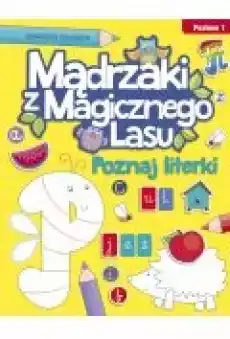 Poznaj literki Poziom 1 Książki Ebooki