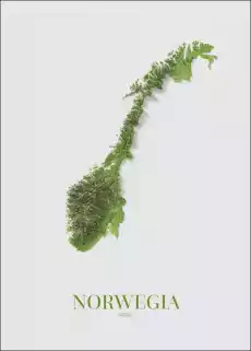 Norwegia mapa plakat Wymiar do wyboru 20x30 cm Dom i ogród Wyposażenie wnętrz Dekoracja Obrazy i plakaty