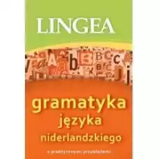 Gramatyka języka niderlandzkiego Książki Nauka jezyków