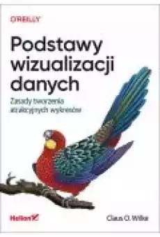 Podstawy wizualizacji danych Książki Zdrowie medycyna