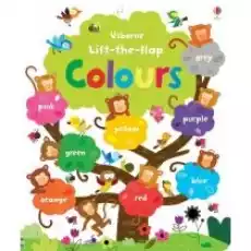 Lifttheflap Colours Book Książki Obcojęzyczne