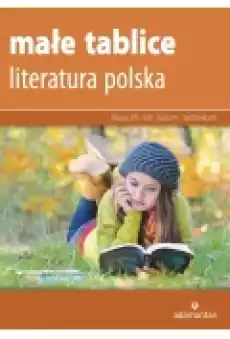 Małe tablice Literatura polska 2019 Książki Podręczniki i lektury