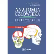 Anatomia człowieka Repetytorium Ćwiczenia Książki Podręczniki i lektury