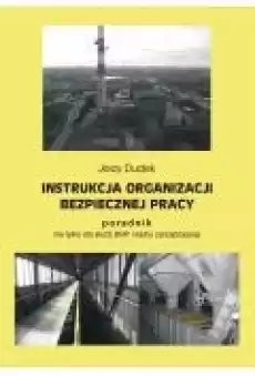 Instrukcja organizacji bezpiecznej pracy poradnik nie tylko dla służb BHP i kadry zarządzającej Książki Ebooki