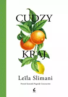 Cudzy kraj Książki Literatura obyczajowa