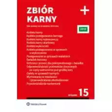 Zbiór karny plus 2019 Książki Prawo akty prawne