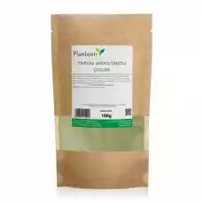 Herbata Zielona Matcha Proszek 100 g Planteon Artykuły Spożywcze