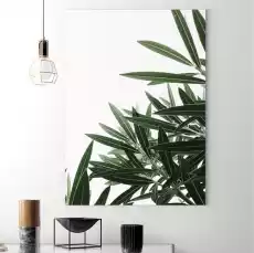 Obraz na płótnie tropical beauty wymiary 60cm x 90cm Dom i ogród