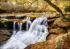 Dunloup Falls near the largely abandoned old coal town of Thurmond in Fayette County West Virginia Carol Highsmith plakat W Dom i ogród Wyposażenie wnętrz Dekoracja Obrazy i plakaty