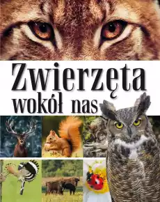 Zwierzęta wokół nas Encyklopedia dla dzieci Książki Encyklopedie i słowniki