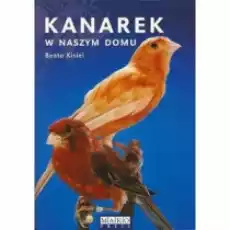 Kanarek w naszym domu Książki Poradniki