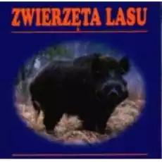 Zwierzęta lasu harmonijka Książki Dla dzieci