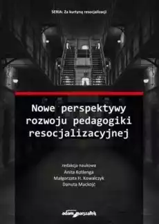 Nowe perspektywy rozwoju pedagogiki Książki Nauki humanistyczne