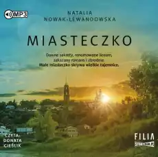 CD MP3 Miasteczko Książki Audiobooki