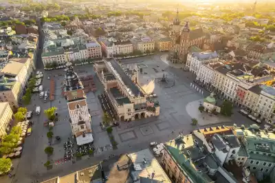  22-latek poszukiwany listem gończym za... przeklinanie